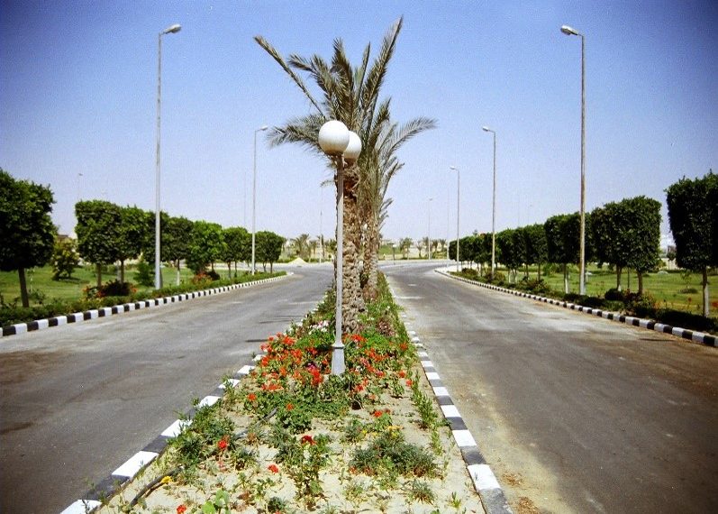 Picture2