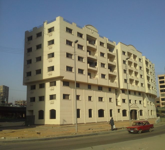 Picture3
